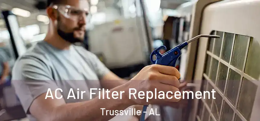  AC Air Filter Replacement Trussville - AL