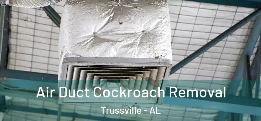  Air Duct Cockroach Removal Trussville - AL
