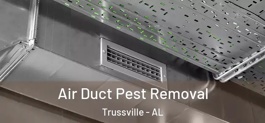  Air Duct Pest Removal Trussville - AL