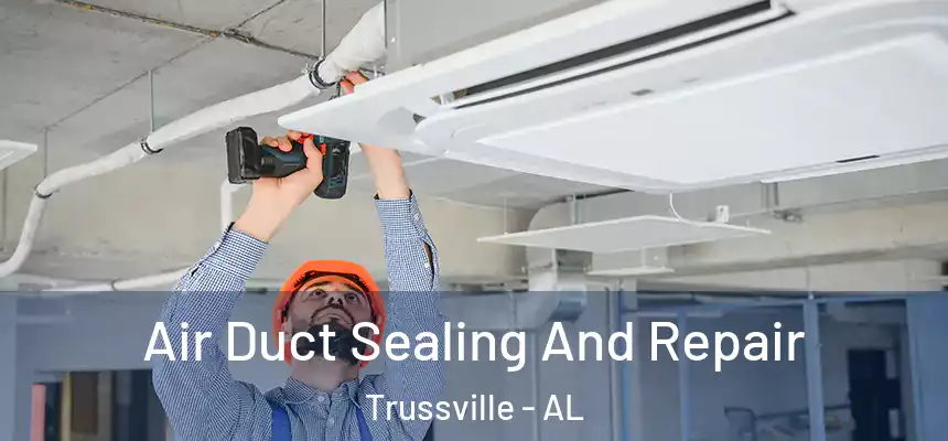  Air Duct Sealing And Repair Trussville - AL