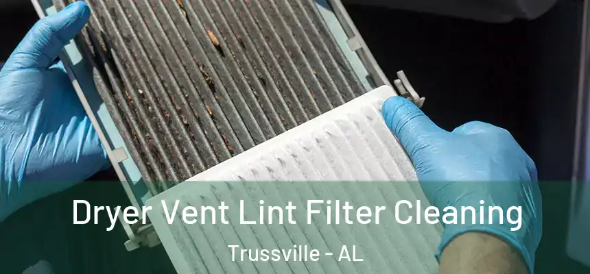  Dryer Vent Lint Filter Cleaning Trussville - AL