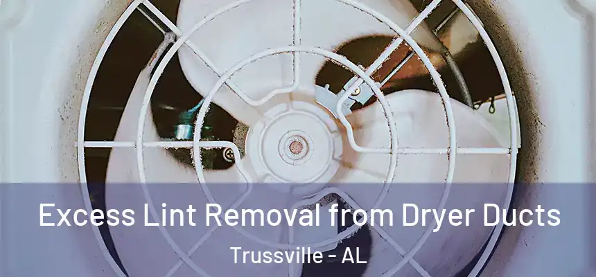  Excess Lint Removal from Dryer Ducts Trussville - AL