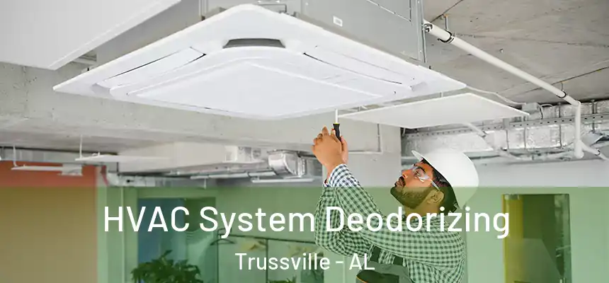  HVAC System Deodorizing Trussville - AL