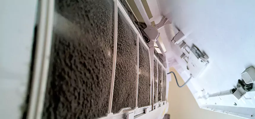 Preventive Air Duct Bacteria Removal in Trussville