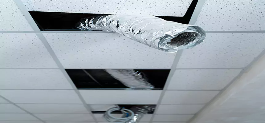 Affordable HVAC Sanitizing After Pest Removal in Trussville