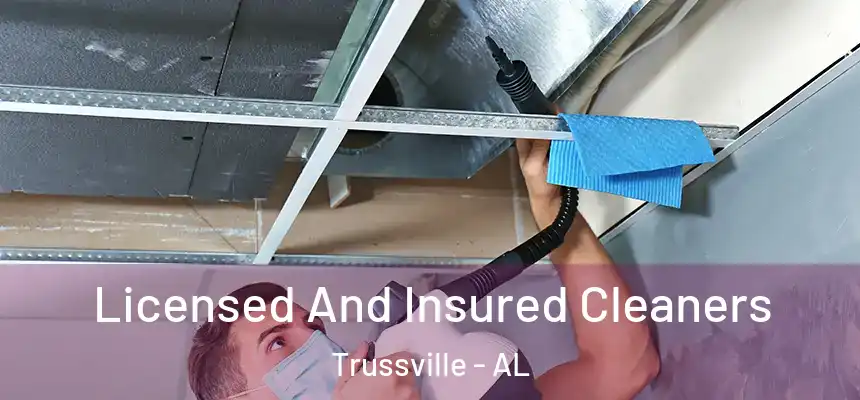  Licensed And Insured Cleaners Trussville - AL