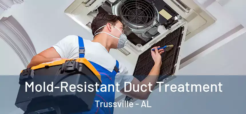  Mold-Resistant Duct Treatment Trussville - AL