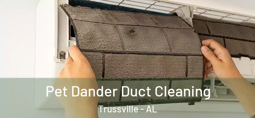  Pet Dander Duct Cleaning Trussville - AL