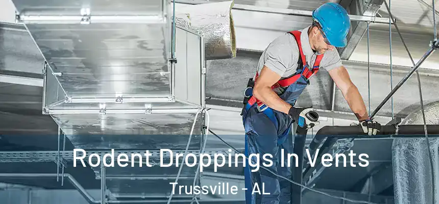  Rodent Droppings In Vents Trussville - AL