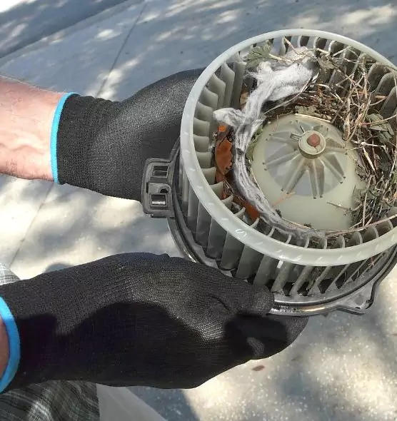 About Air Duct Mice Removal in Trussville, AL