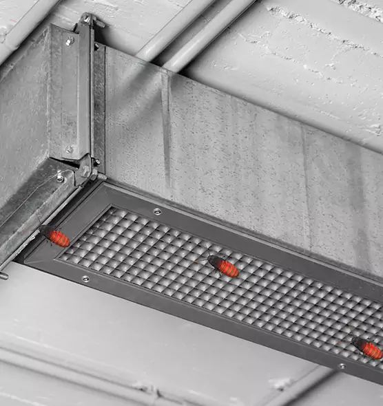 Affordable Insect Removal from Air Ducts in Trussville, AL