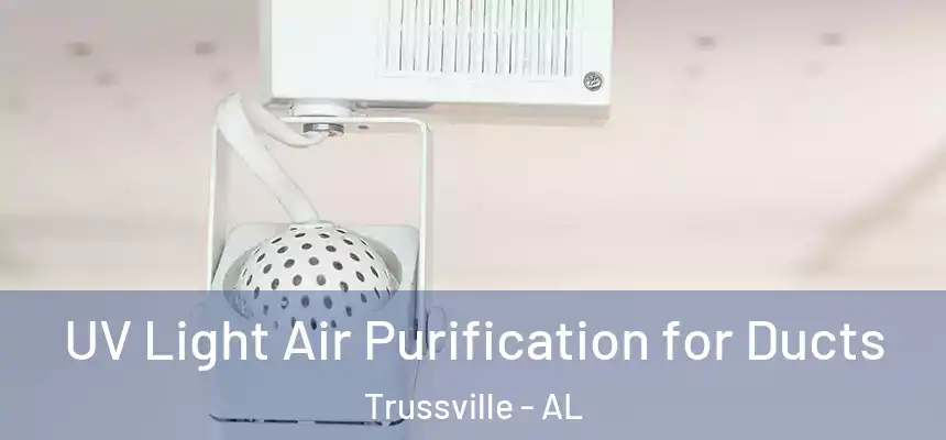  UV Light Air Purification for Ducts Trussville - AL