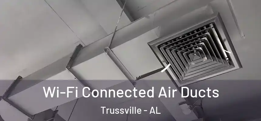  Wi-Fi Connected Air Ducts Trussville - AL